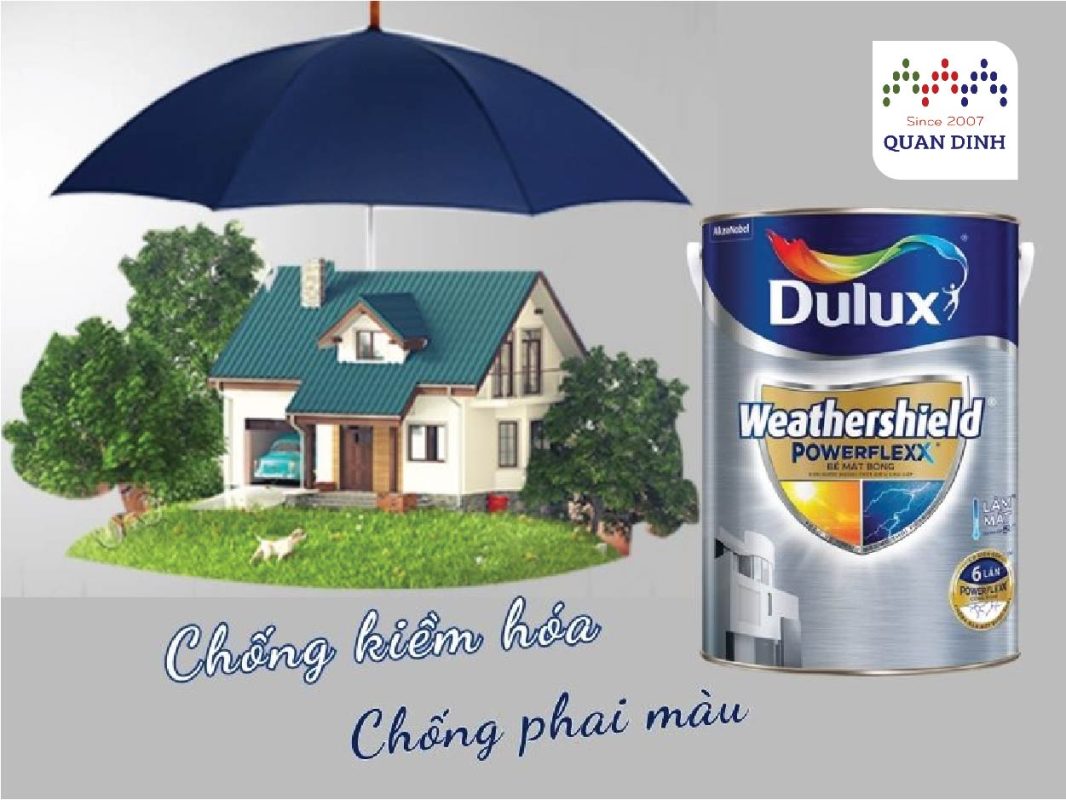 Công Ty TNHH Quân Định