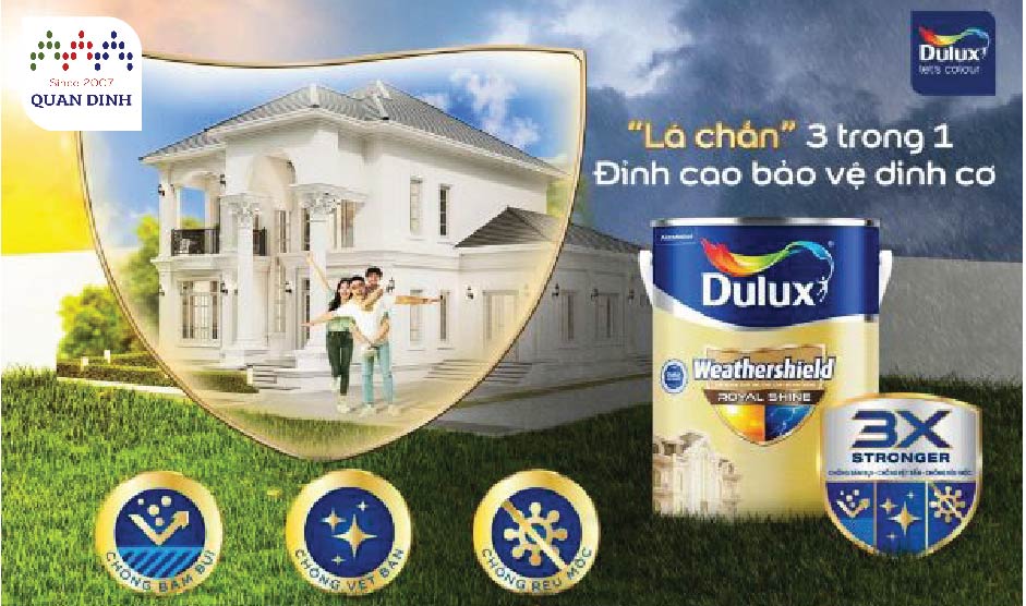 Công Ty TNHH Quân Định