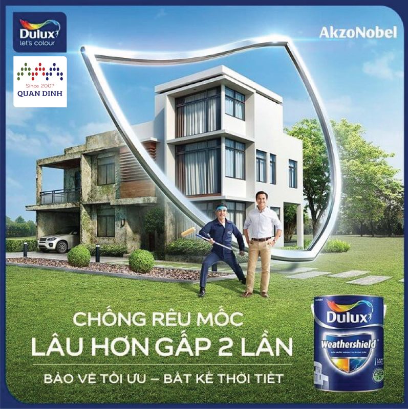 Công Ty TNHH Quân Định
