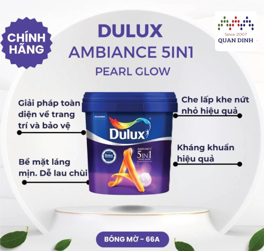 Công Ty TNHH Quân Định