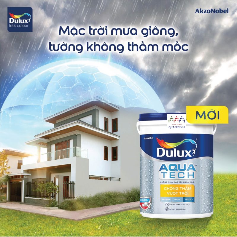 Công Ty TNHH Quân Định
